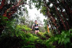 BIB: 
                            <button type="button" onclick="openModal(26201460)" class="btn btn-primary btn-sm float-right btn-popup" data-toggle="modal" data-target=".modal-high-quality">
                        <i class="fas fa-shopping-cart"></i> Add to Cart
                    </button>
                                            <button type="button" onclick="isThisMe(26201460, true)" class="btn btn-success btn-sm float-right btn-popup btn-isme hidden" data-toggle="tooltip" data-placement="bottom" title="นี่คือรูปของคุณใช่ไหม คลิกที่นี่เพื่อเอาเข้าอัลบั้ม">
                        <i class="fas fa-plus"></i> Add to album
                    </button>
                    <button type="button" onclick="isThisMe(26201460, false)" class="btn btn-warning btn-sm float-right btn-popup btn-isnotme hidden">
                        <i class="fas fa-ban"></i> Remove from album
                    </button>